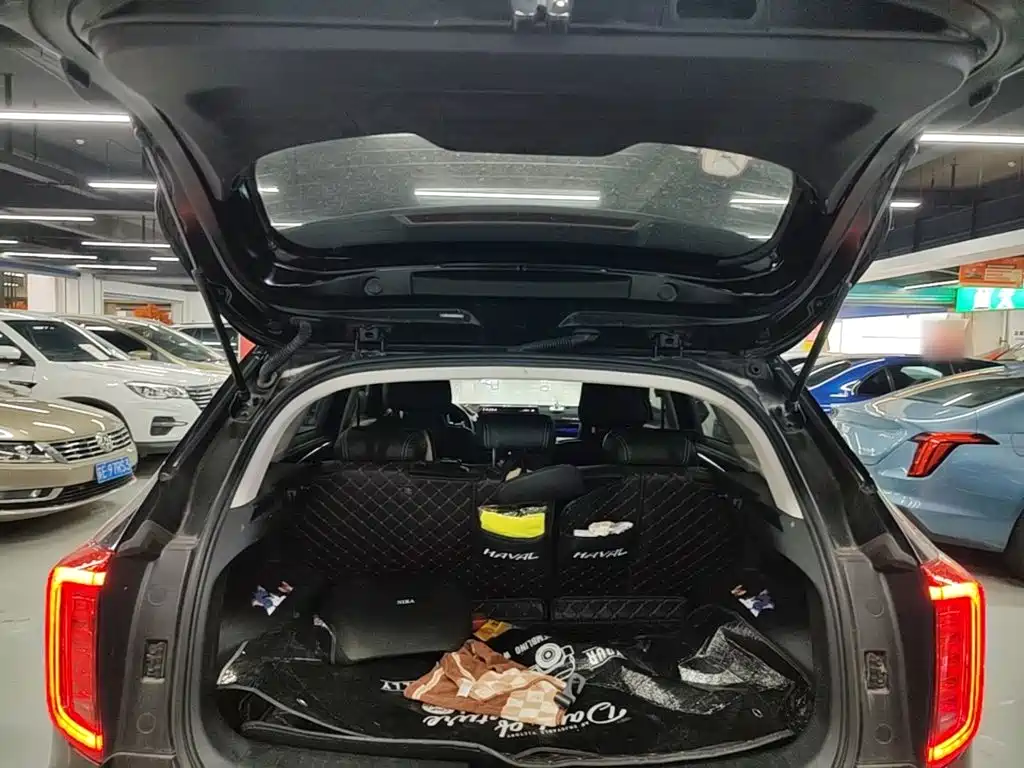 Haval Chulian — миниатюра 19