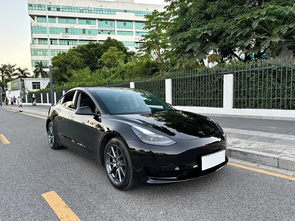 Tesla Model 3 — миниатюра 3