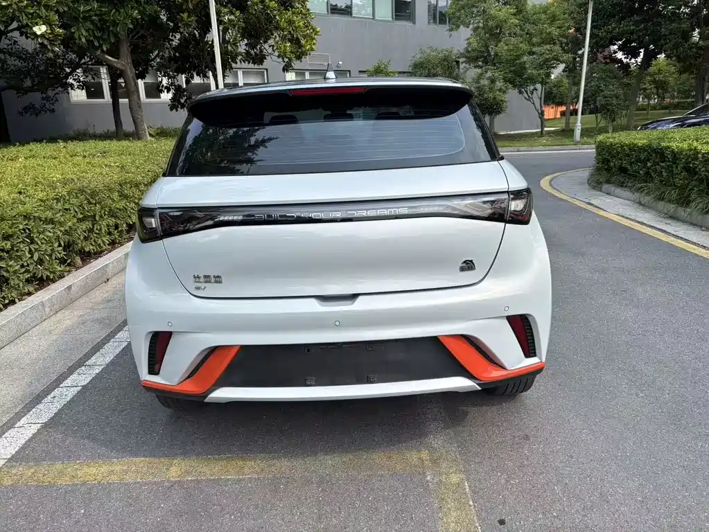BYD Dolphin 2021 405km Freedom