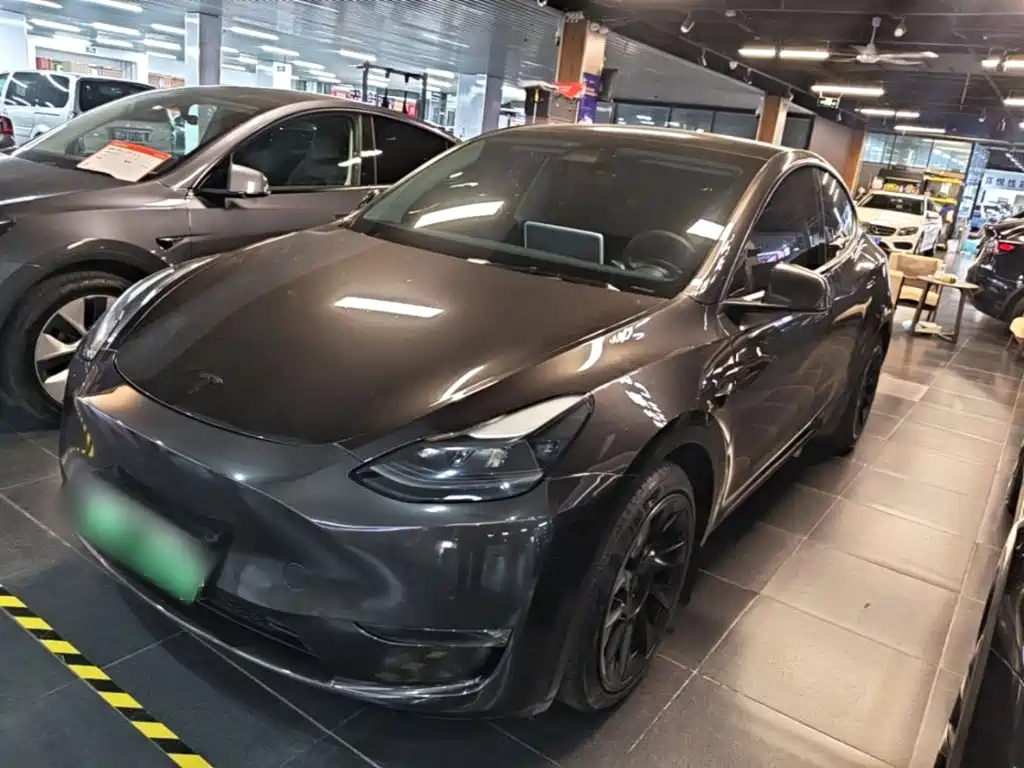 Tesla Model Y — миниатюра 2