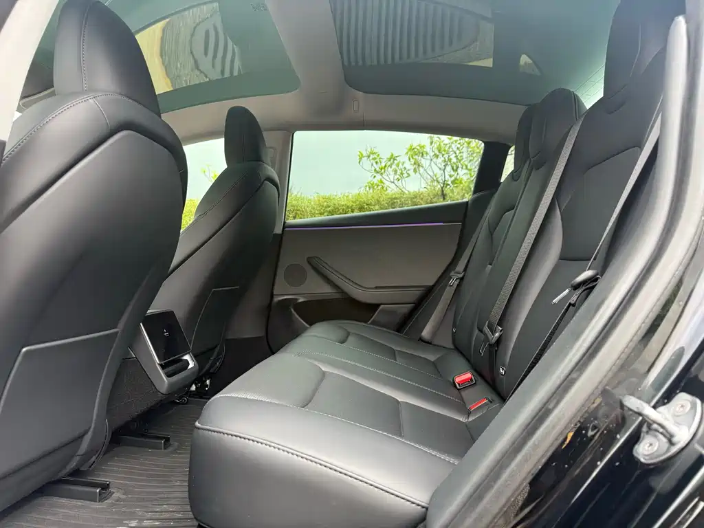 Tesla Model 3 — миниатюра 8
