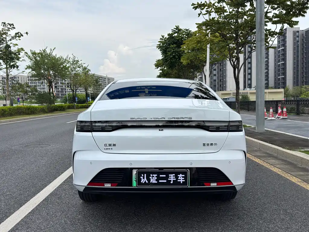 BYD Destroyer 05 - фото 9
