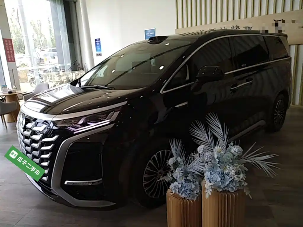 Denza Denza D9 — миниатюра 2