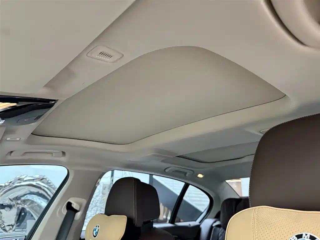 BMW 5 Series 5 2021 530Li Premium Luxury