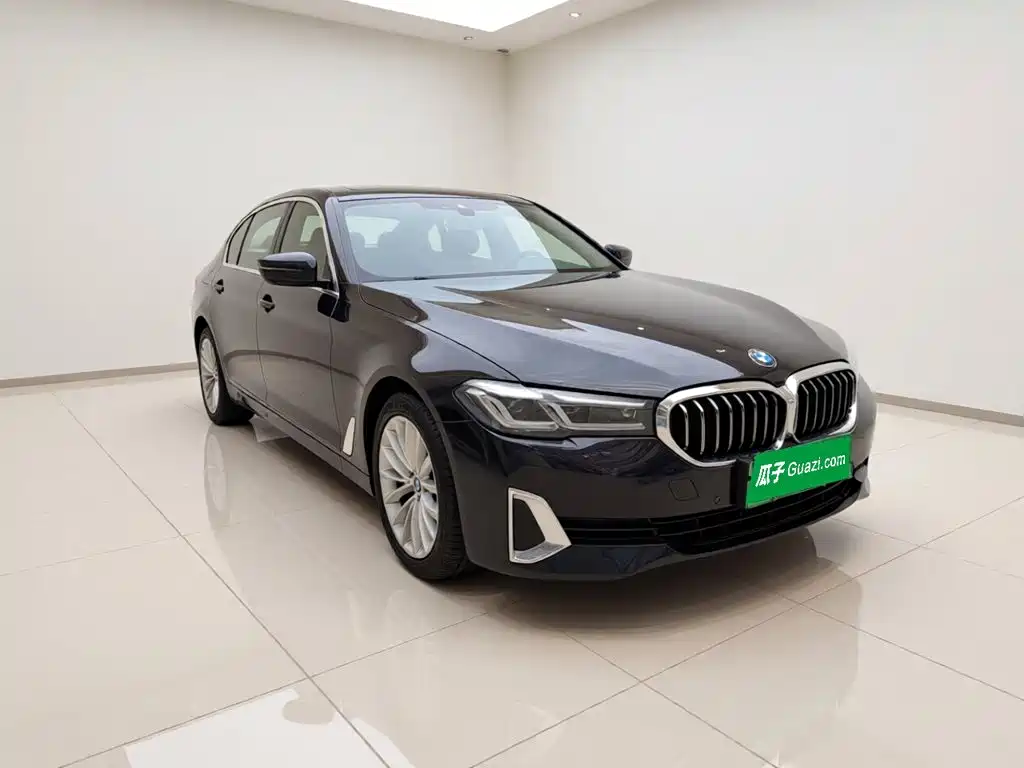 BMW 5 Series New Energy — миниатюра 3