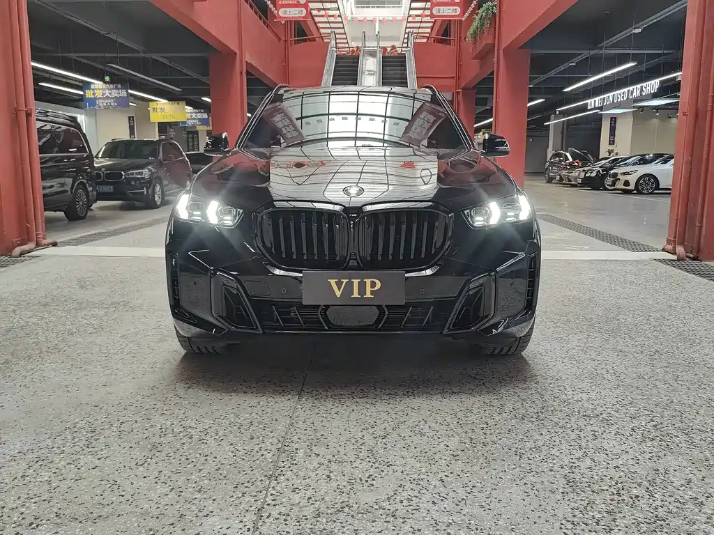 BMW X5 — миниатюра 2