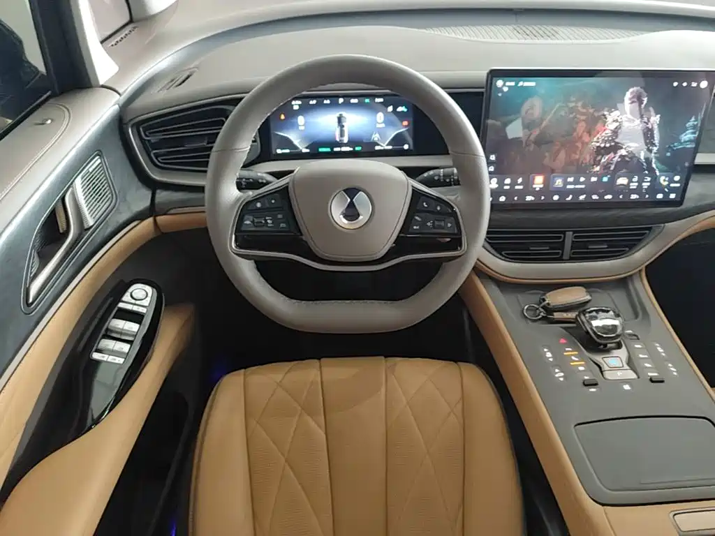 Denza Denza D9 — миниатюра 11