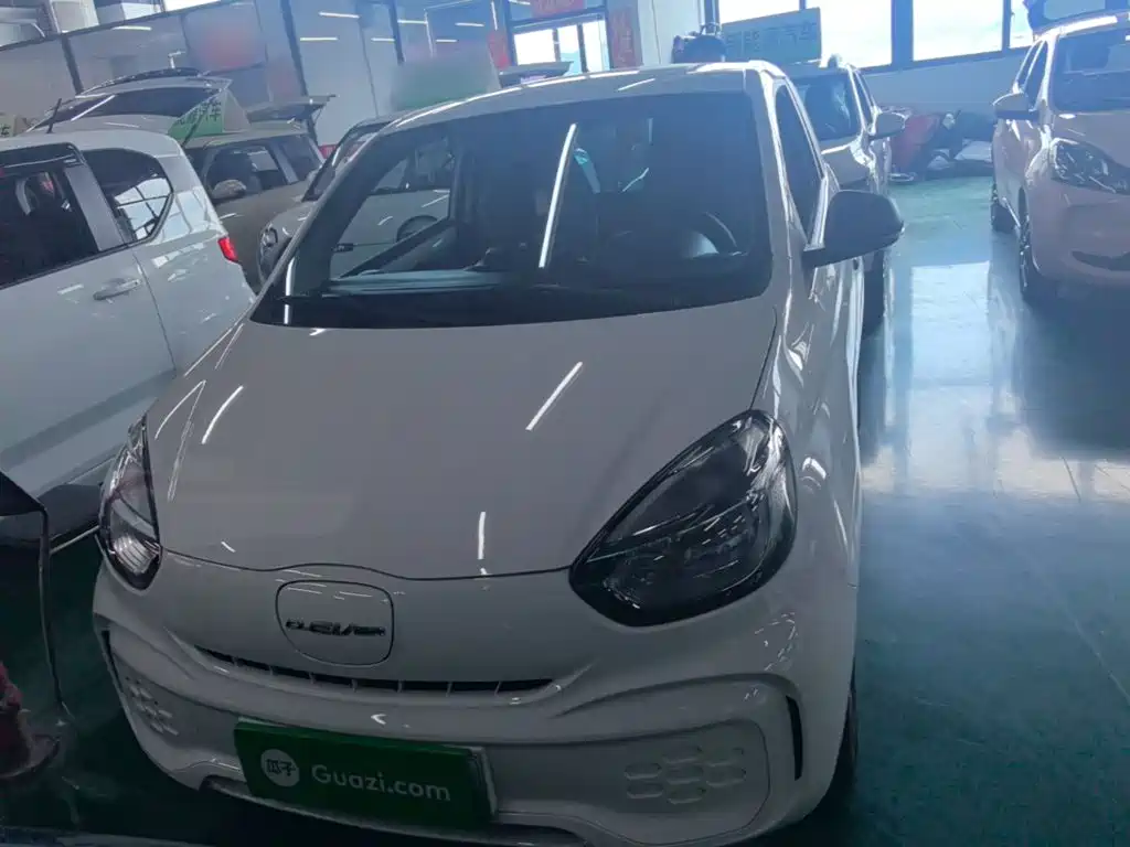 Roewe Clever 2022 311km