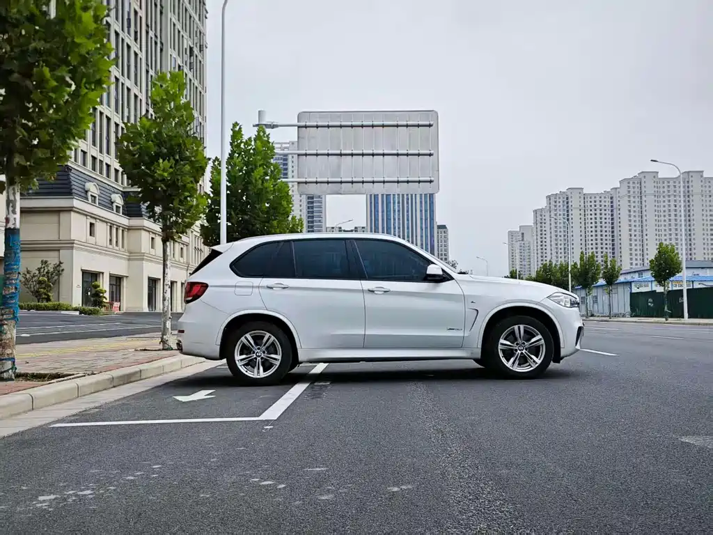 BMW X5 (Import) — миниатюра 10