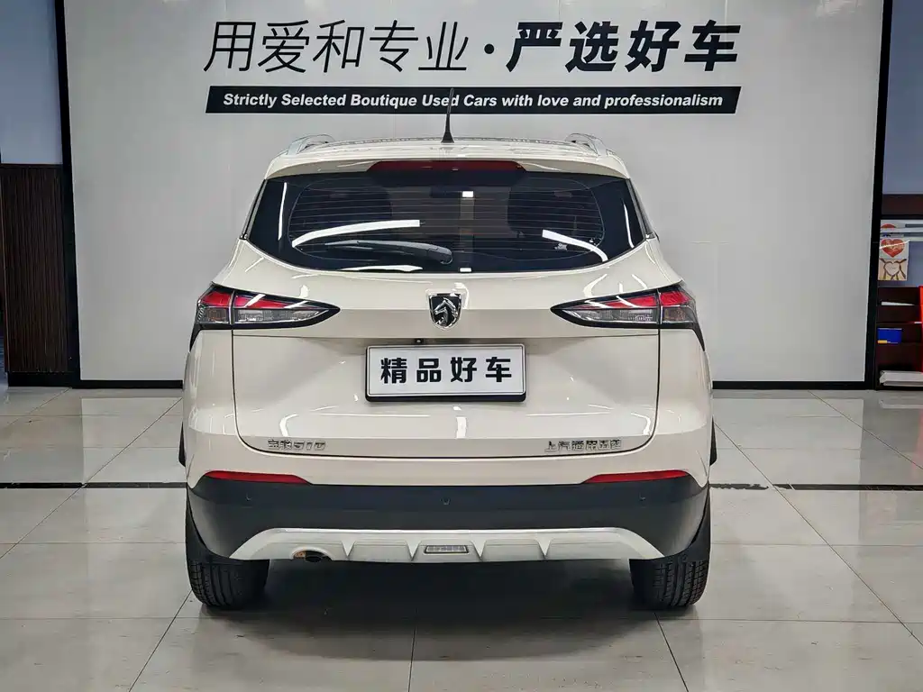BAOJUN 510