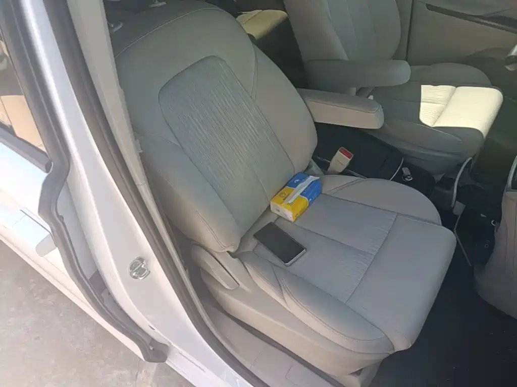 Buick GL8 — миниатюра 25