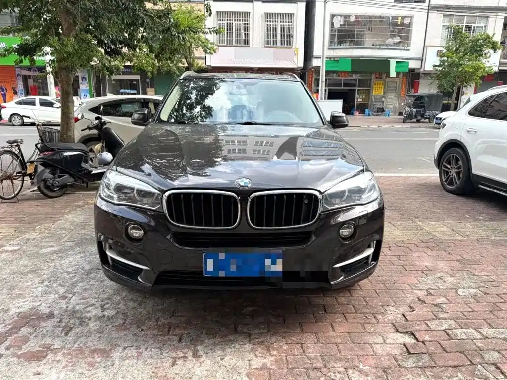 BMW X5 (Import) — миниатюра 2