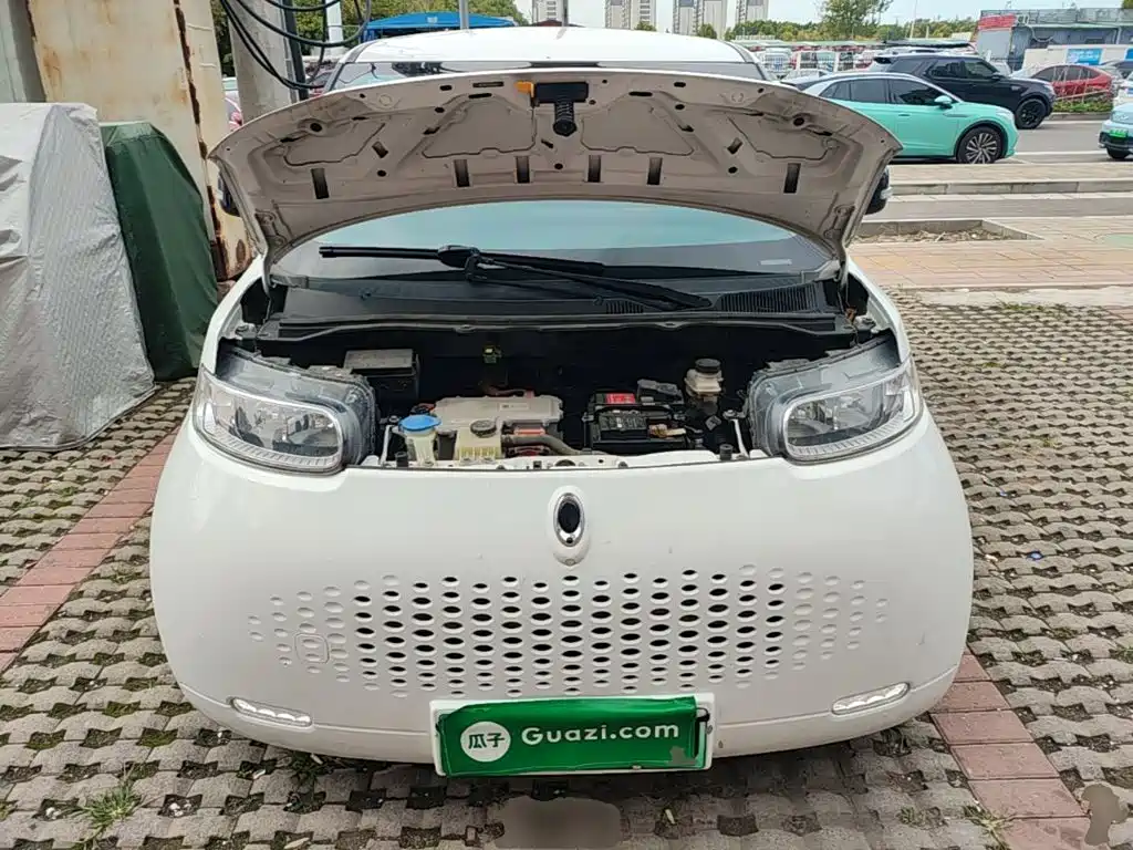 Ora Ora White Cat — миниатюра 20