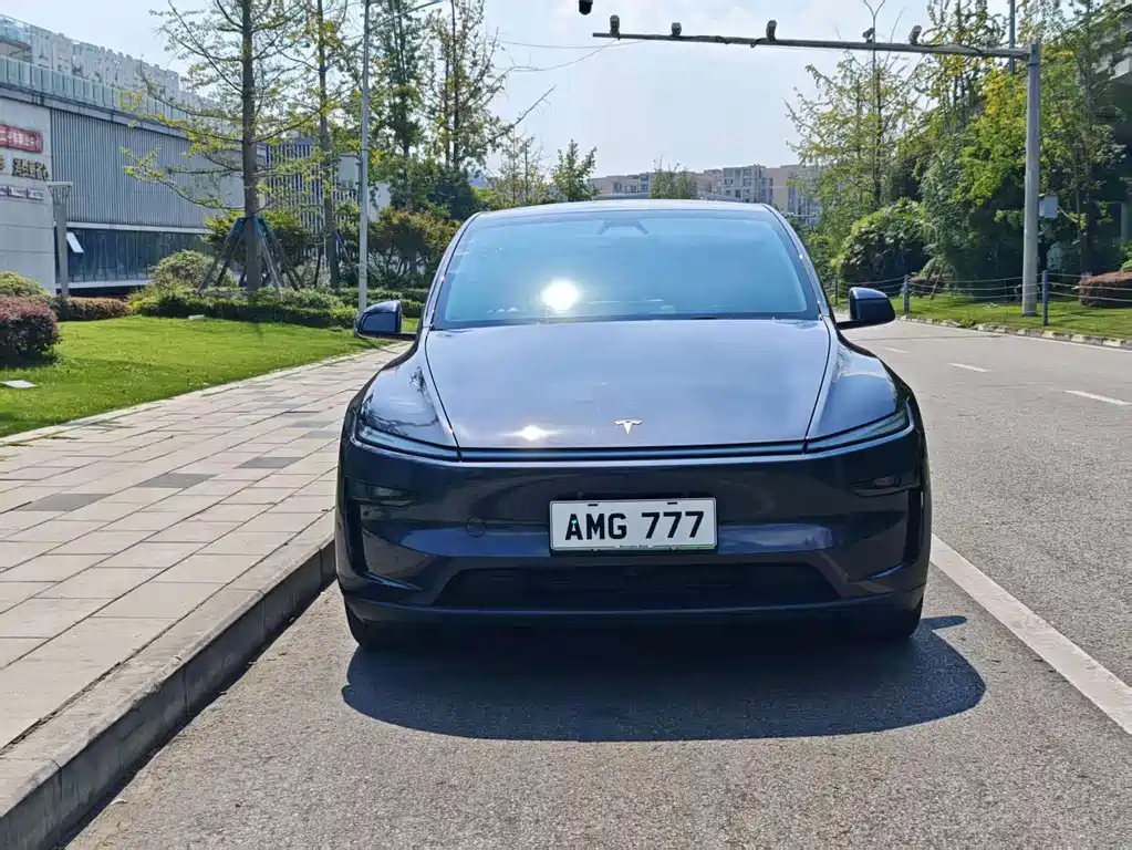 Tesla Model Y — миниатюра 2