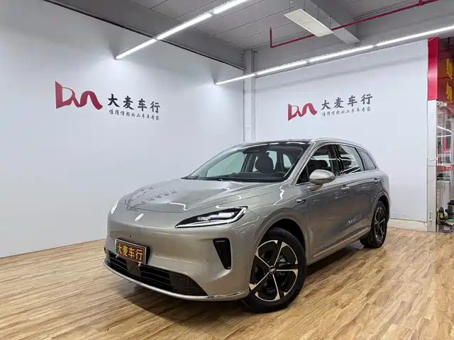 2025 Singulato