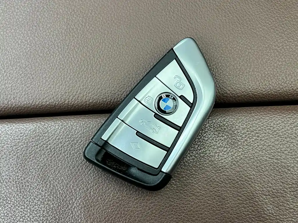 BMW X5 (Import) — миниатюра 19