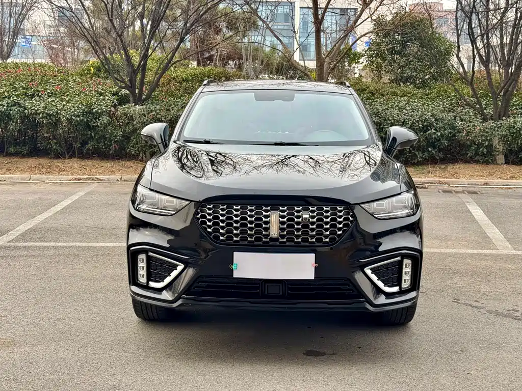 WEI PAI WEI BRAND VV5