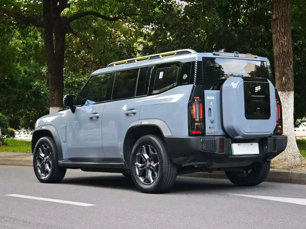 Jetour Traveller C-DM C-DM 129KM Forest Wild Edition, фото 6
