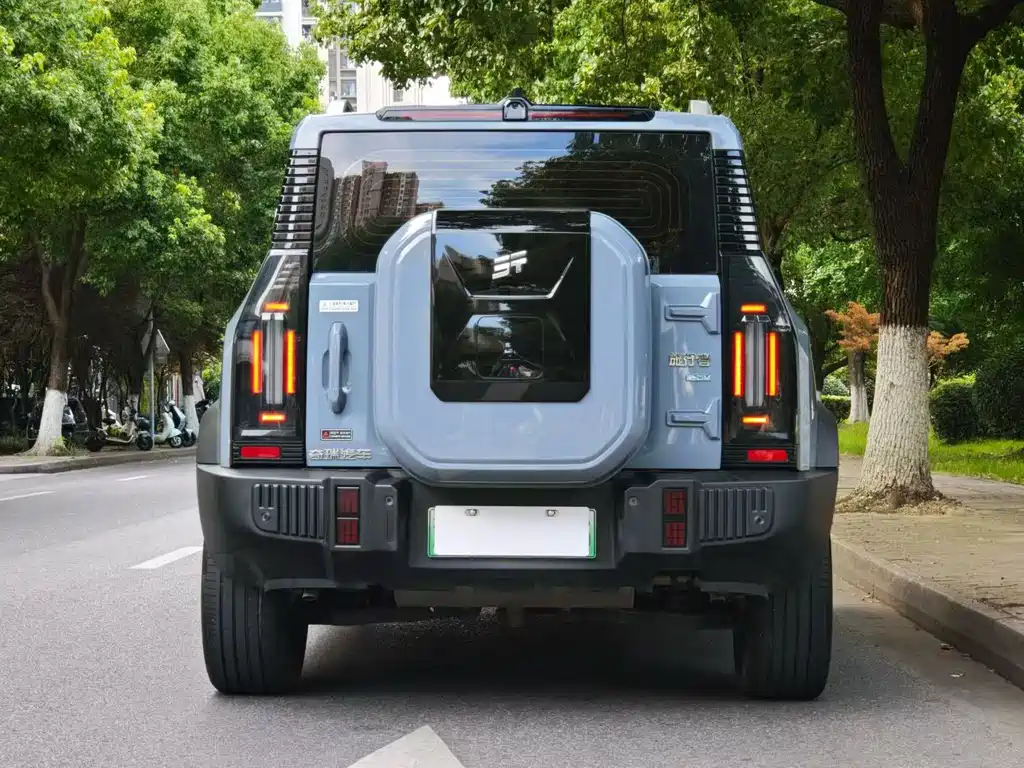 Jetour Traveller C-DM C-DM 129KM Forest Wild Edition, фото 4