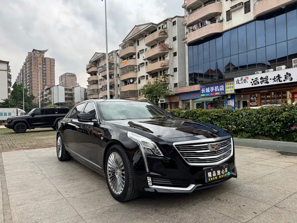 Cadillac CT6 40T Leading Type, фото 3