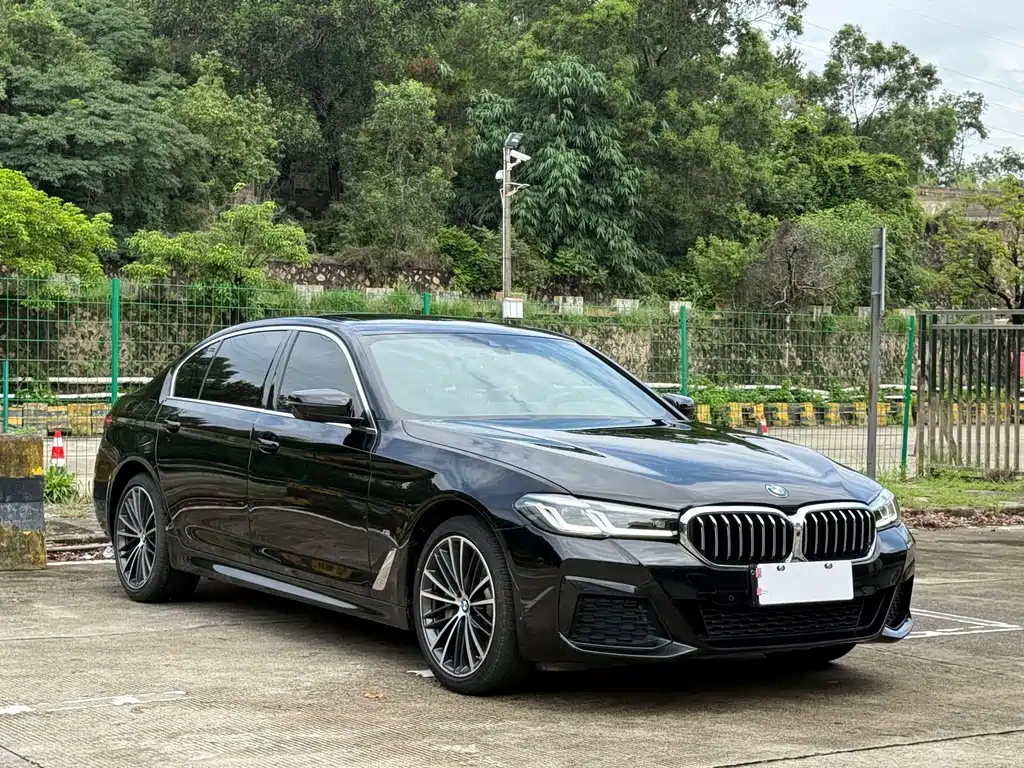 BMW 5 Series 5 2021 530Li Lead M Sport