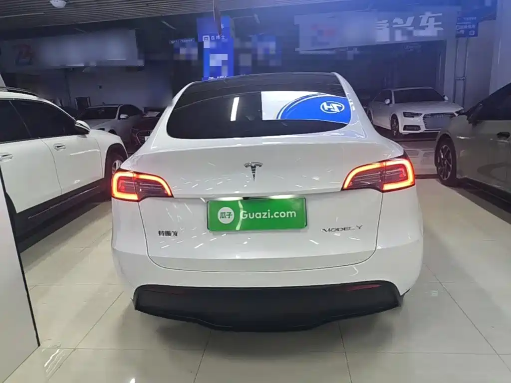 Tesla Model Y — миниатюра 6