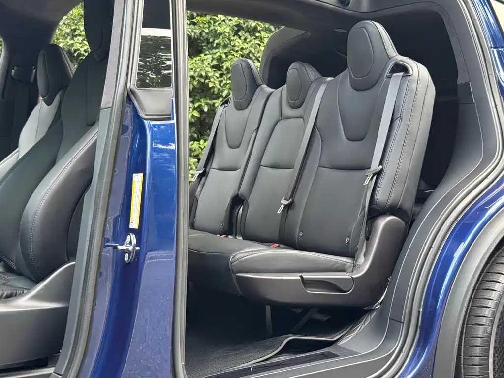 Tesla Model X — миниатюра 13