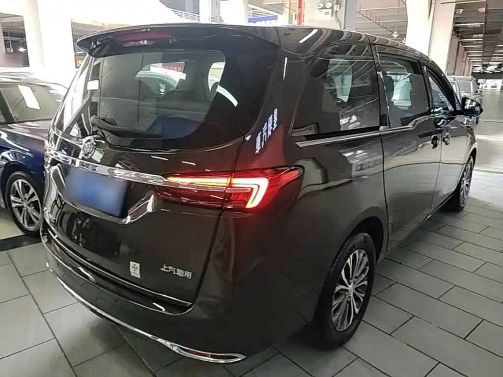 Buick GL8 — миниатюра 7