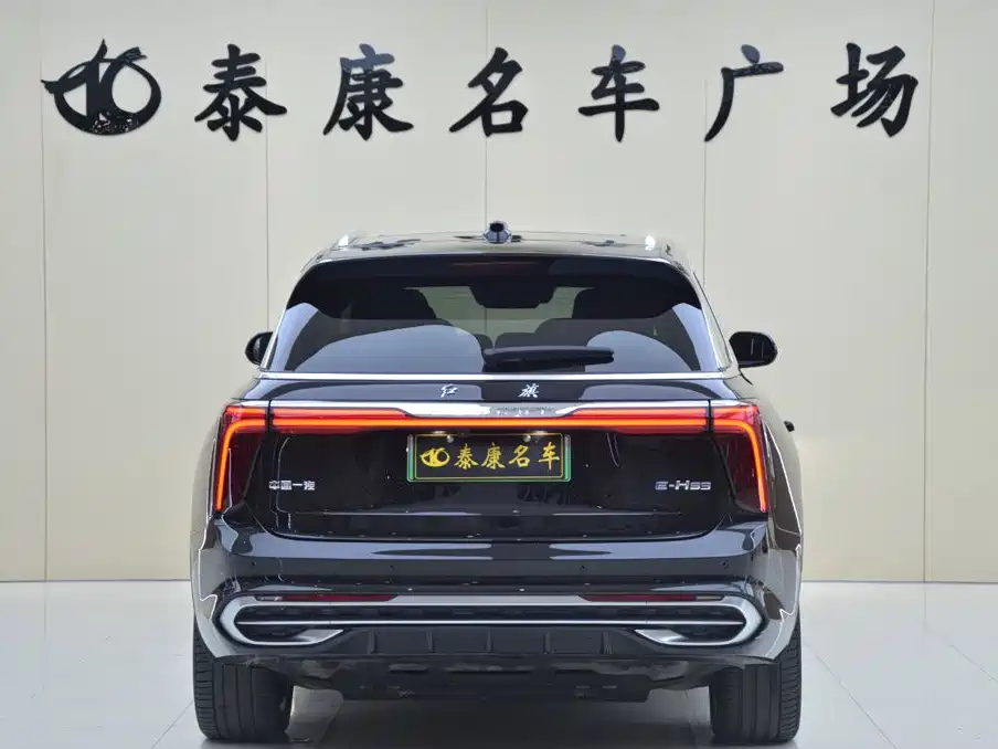 Hongqi Hongqi E-HS9 — миниатюра 3