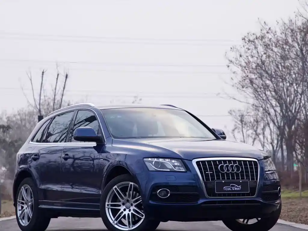 Audi Q5 (Import) 2010