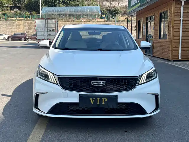 GEELY AUTOMOBILE BINRUI