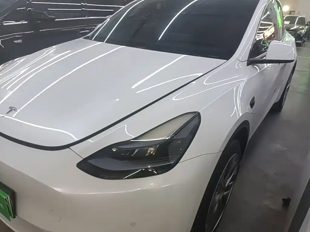 Tesla Model Y — миниатюра 2