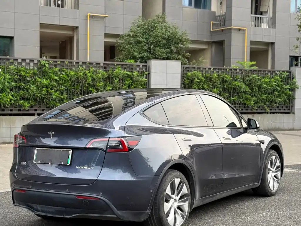 Tesla Model Y — миниатюра 10