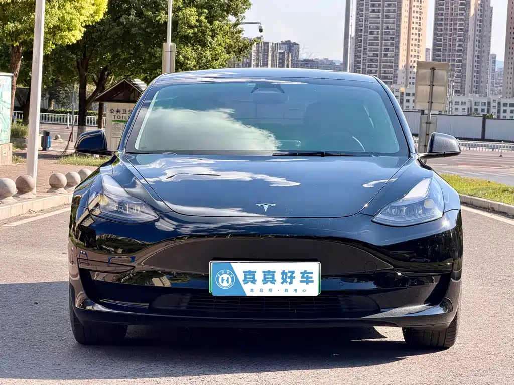Tesla Model 3 — миниатюра 2