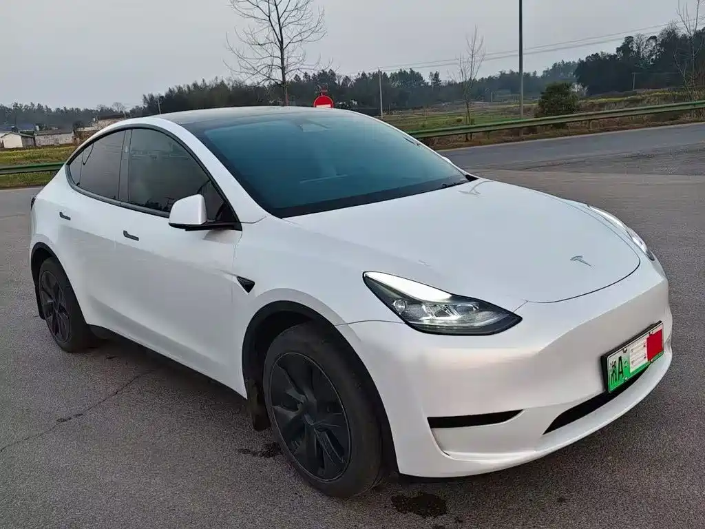 Tesla Model Y — миниатюра 3