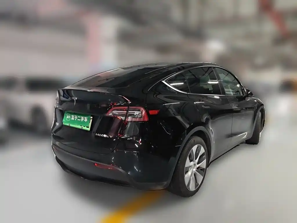 Tesla Model Y — миниатюра 5