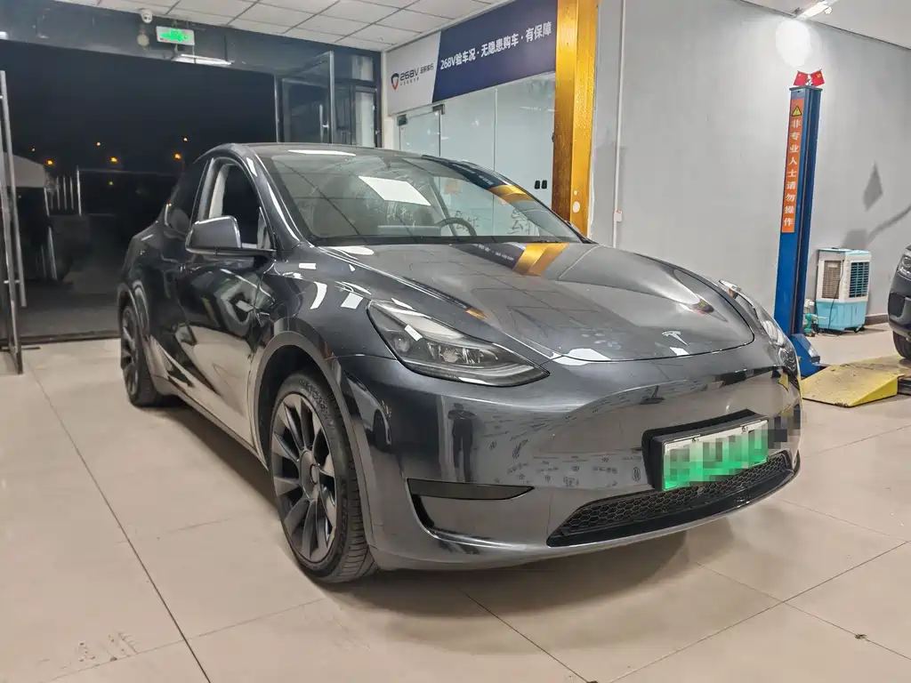 Tesla Model Y — миниатюра 3