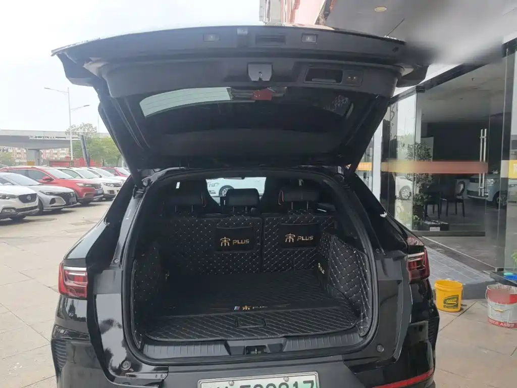 BYD PLUS New Energy — миниатюра 19
