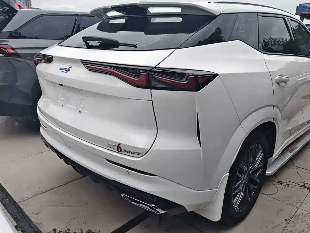 Oshan Oushang Z6 — миниатюра 16