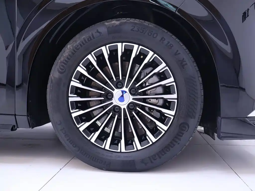 Denza Denza D9 — миниатюра 6