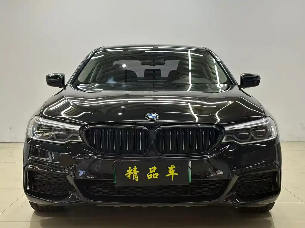 BMW 5 Series New Energy — миниатюра 2