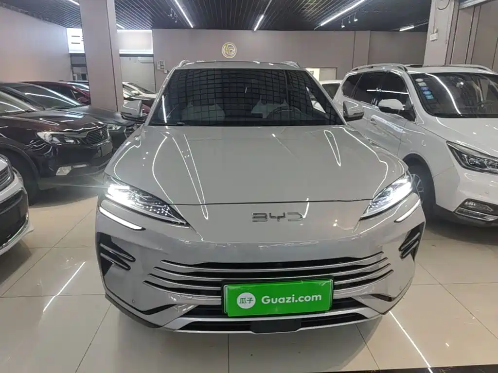 BYD PLUS New Energy — миниатюра 3