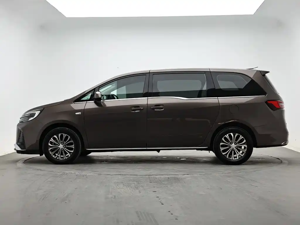 Buick GL8 — миниатюра 6