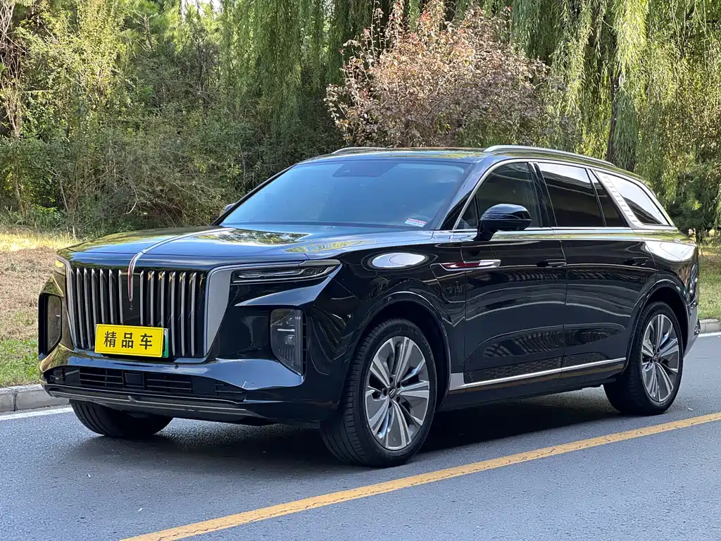 Hongqi Hongqi E-HS9