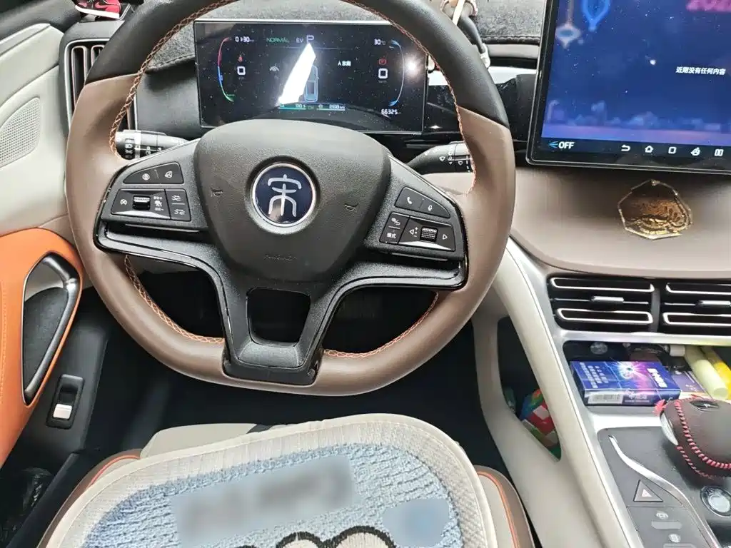 BYD Pro New Energy — миниатюра 7