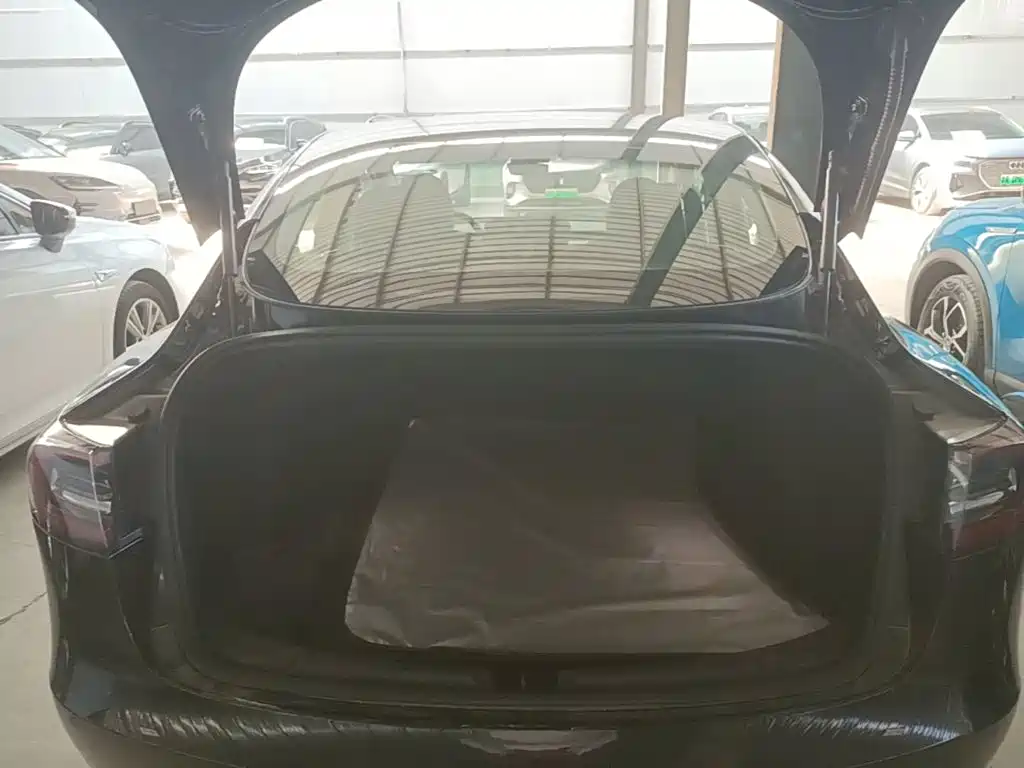 Tesla Model 3 — миниатюра 19