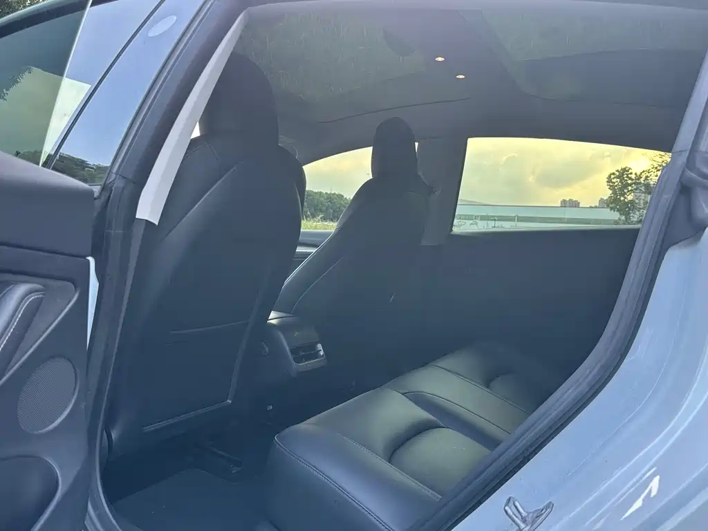 Tesla Model 3 — миниатюра 15