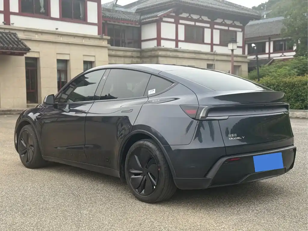 Tesla Model Y — миниатюра 5