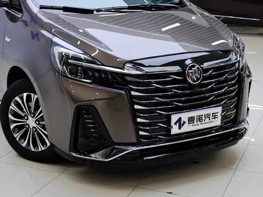 Buick GL8 — миниатюра 11