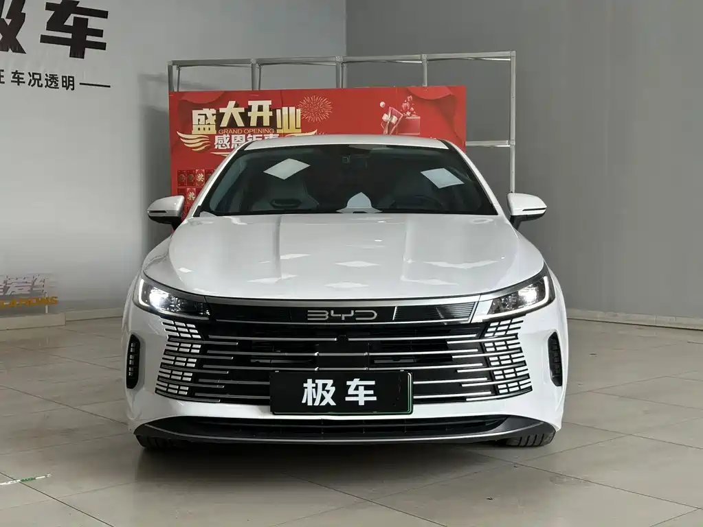 BYD Destroyer 05 — миниатюра 3